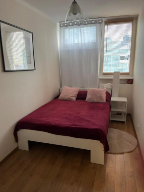 Apartament z widokiem Pereca 2